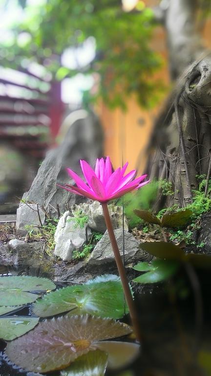 Tam Coc Green Homestay Ninh Binh Exteriér fotografie